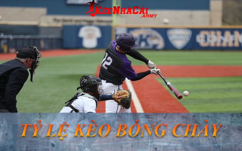 1 ty le keo bong chay Hiểu hơn về tỷ lệ kèo bóng chày